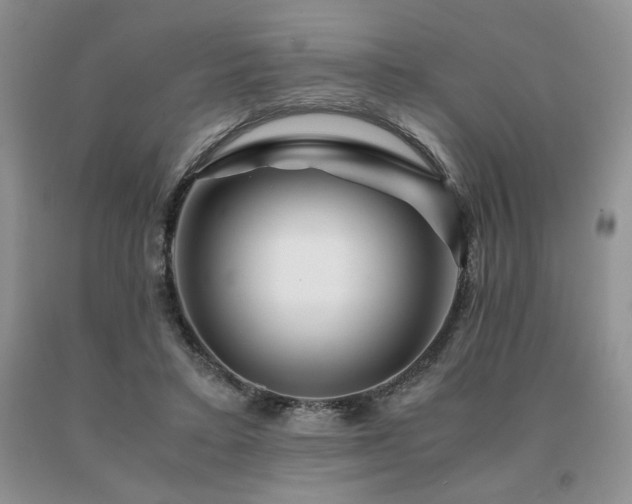 X0000091060403200708061246
