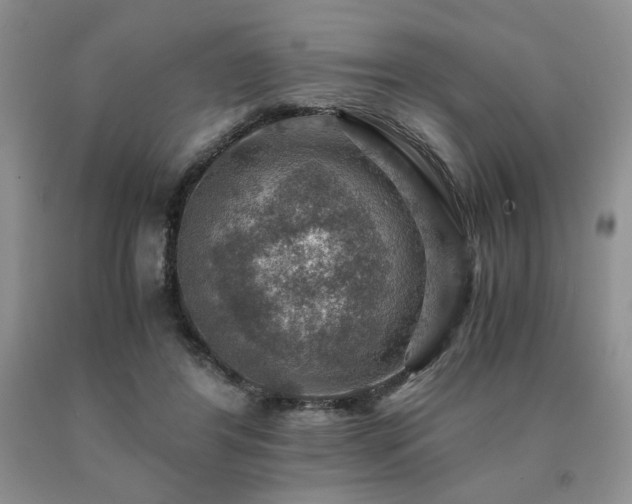 X0000091060404200708061246