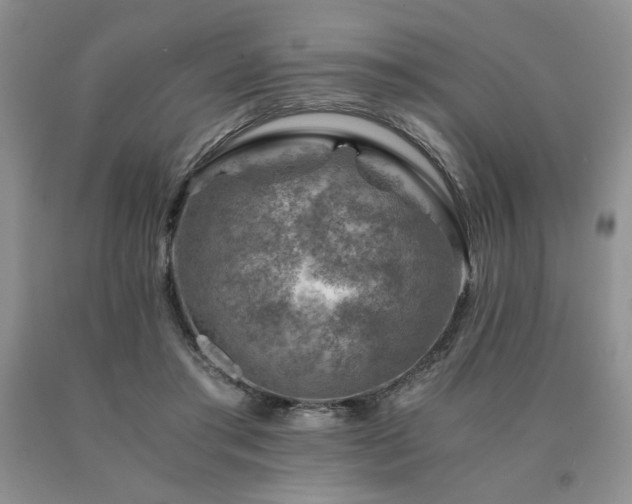 X0000091060405200708061246