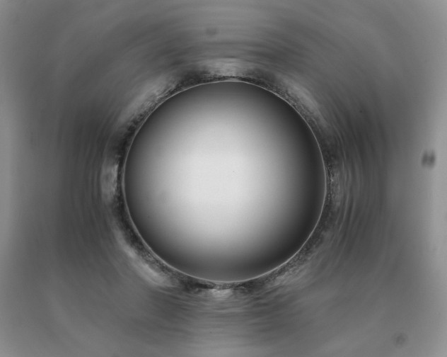 X0000091060406200708061246