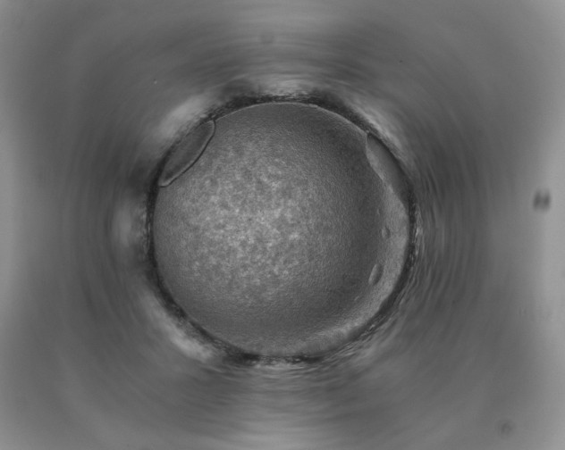 X0000091060407200708061246