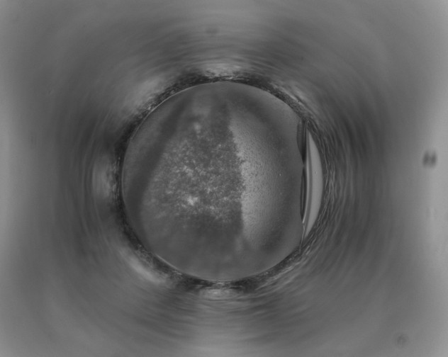 X0000091060408200708061246