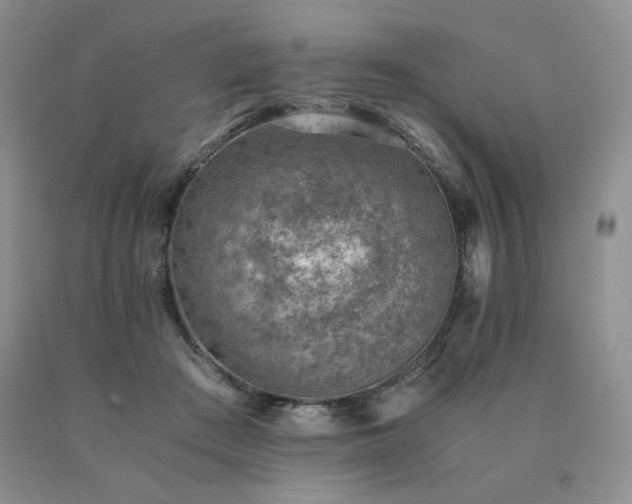 X0000091060409200708061246