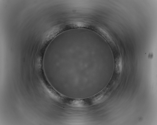 X0000091060410200708061246