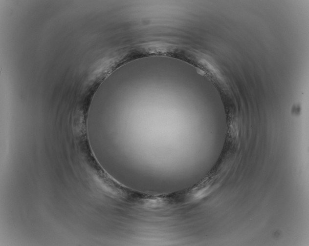 X0000091060411200708061246