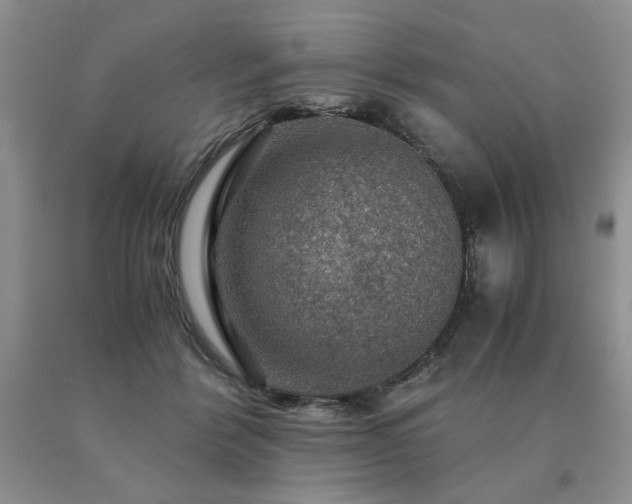 X0000091060412200708061246