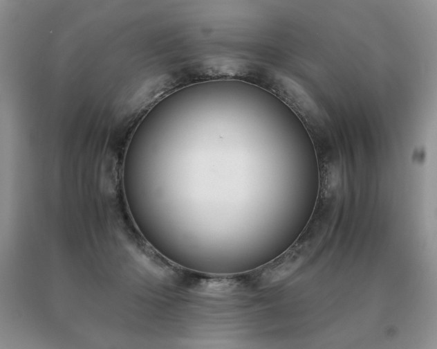 X0000091060414200708061246