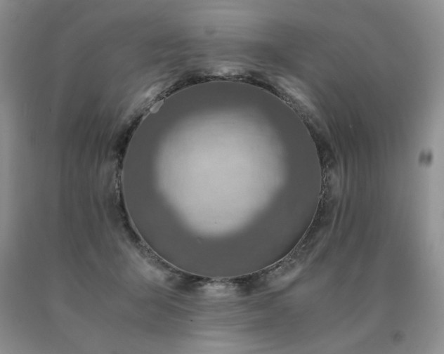 X0000091060415200708061246