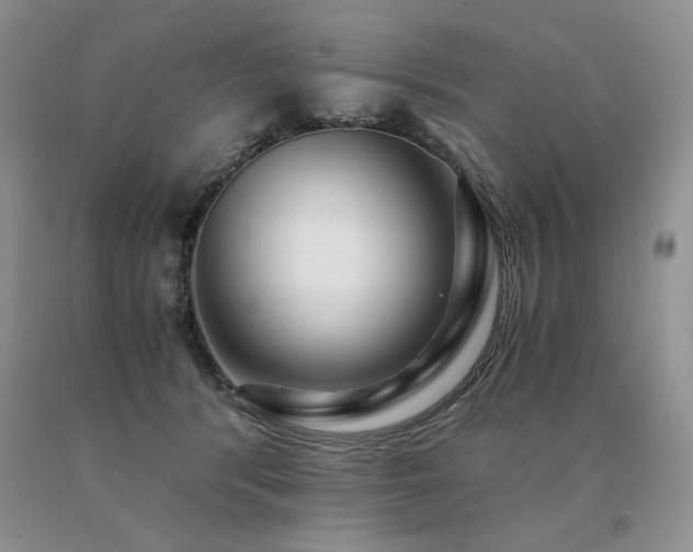 X0000091060416200708061246
