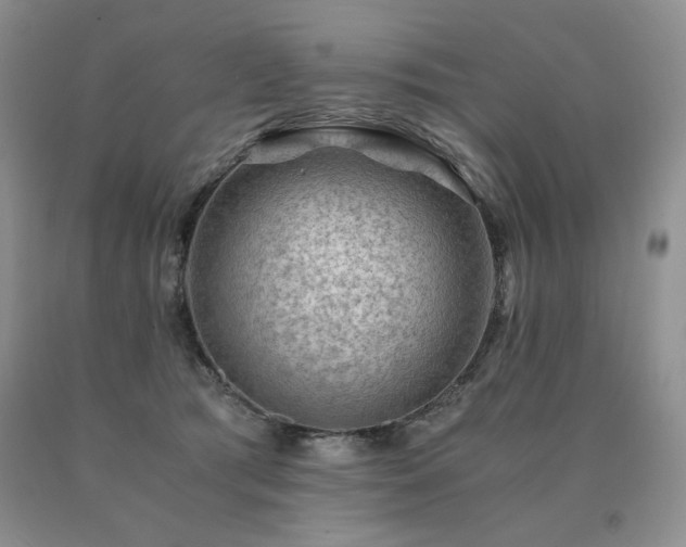 X0000091060417200708061246