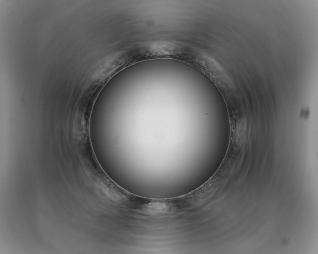X0000091060418200708061246