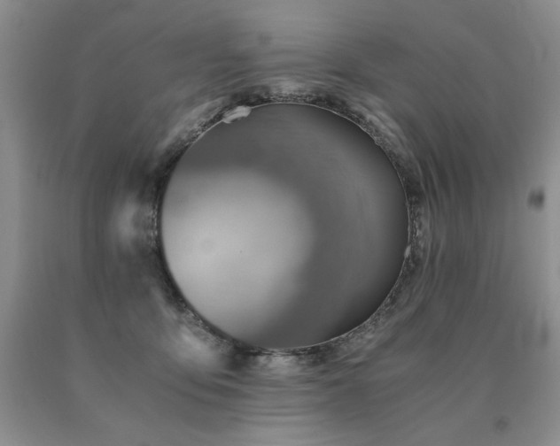 X0000091060419200708061246