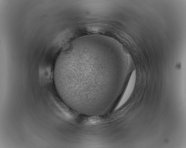X0000091060420200708061246