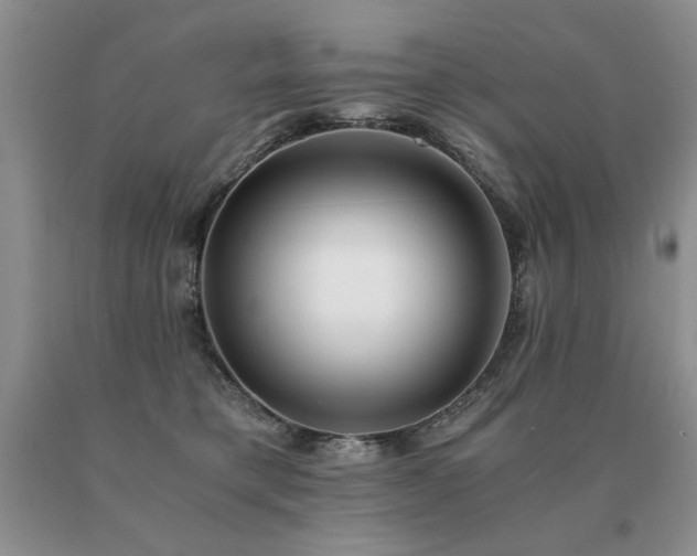 X0000091060421200708061246