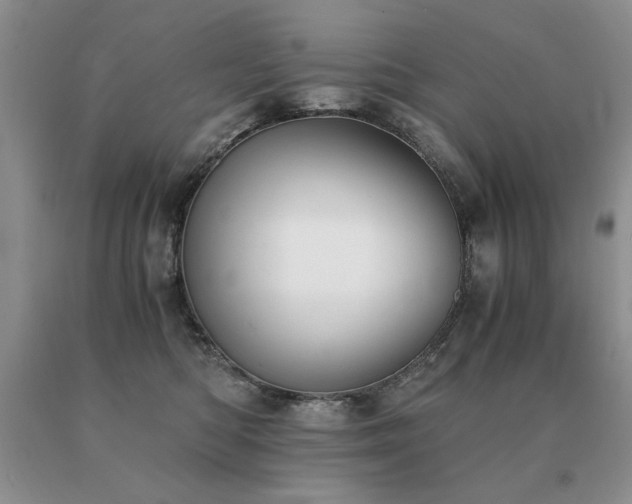 X0000091060422200708061246