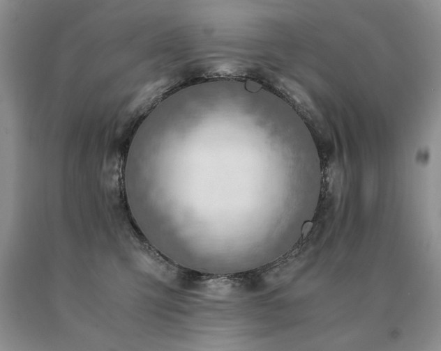X0000091060423200708061246