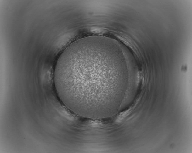 X0000091060424200708061246