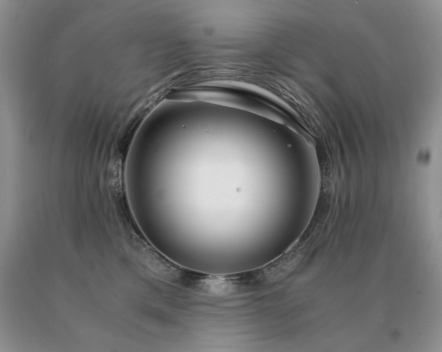 X0000091060425200708061246