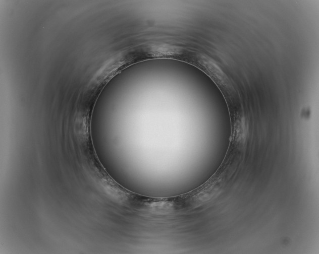 X0000091060426200708061246