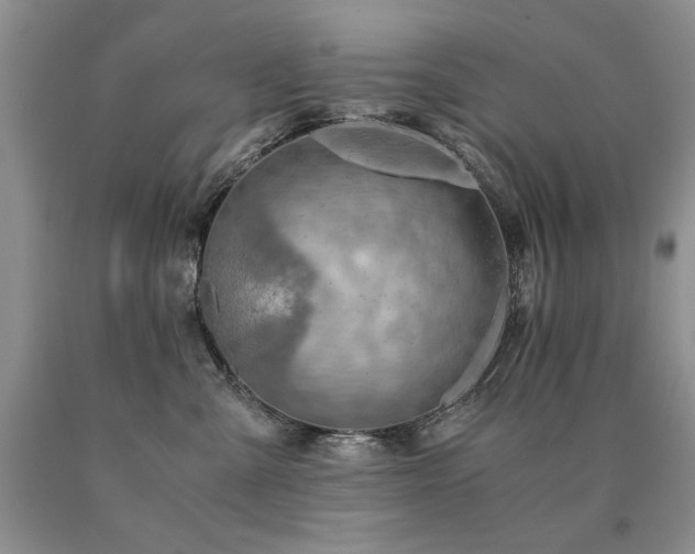 X0000091060427200708061246