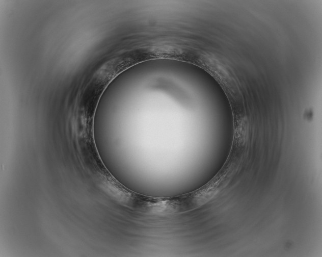 X0000091060430200708061245