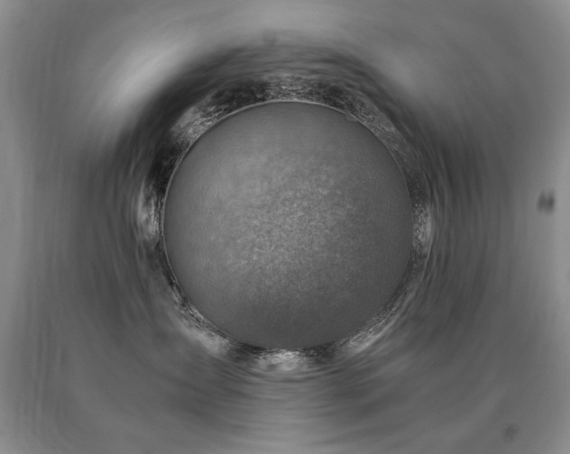 X0000091060431200708061245