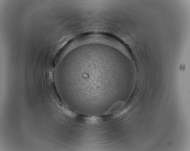 X0000091060432200708061245