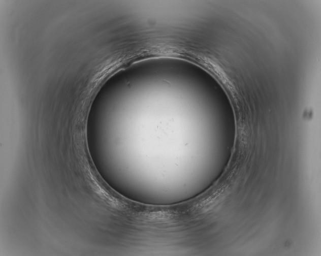 X0000091060433200708061245