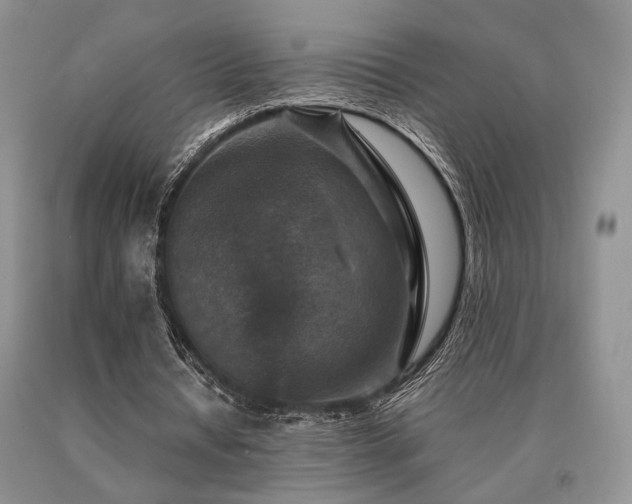 X0000091060434200708061245
