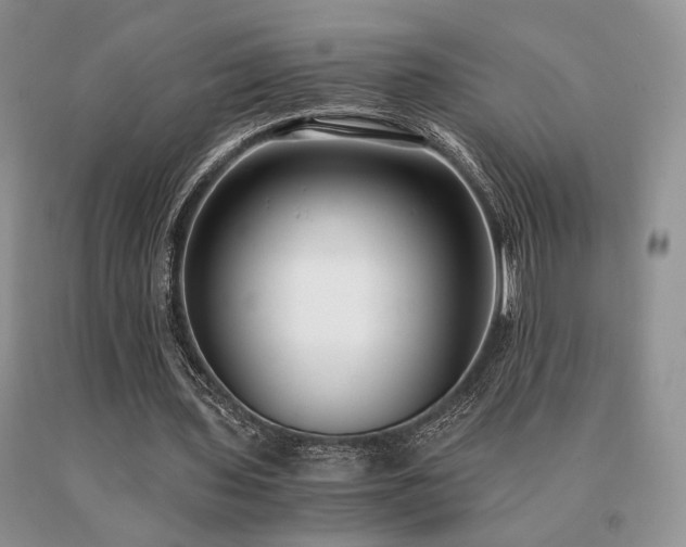 X0000091060435200708061245