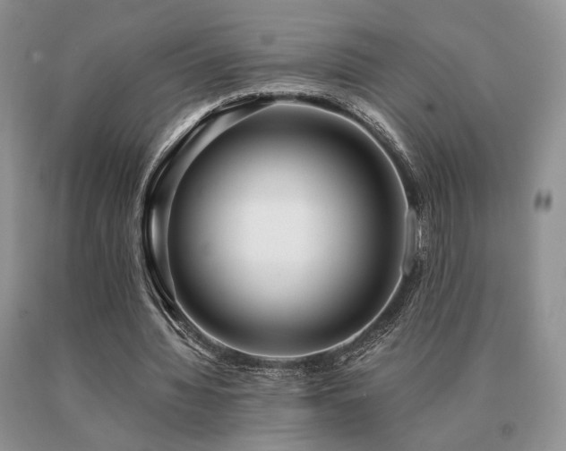 X0000091060436200708061245