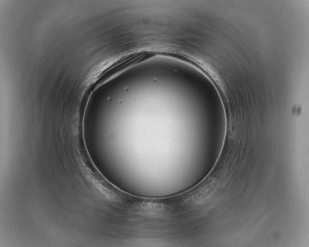 X0000091060437200708061245