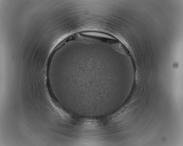 X0000091060438200708061245