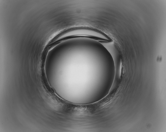 X0000091060440200708061245