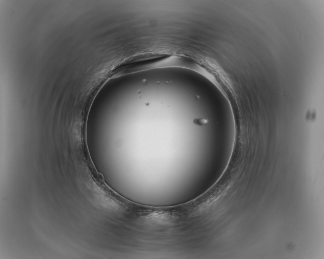 X0000091060441200708061245