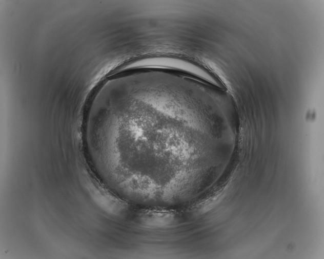 X0000091060443200708061245