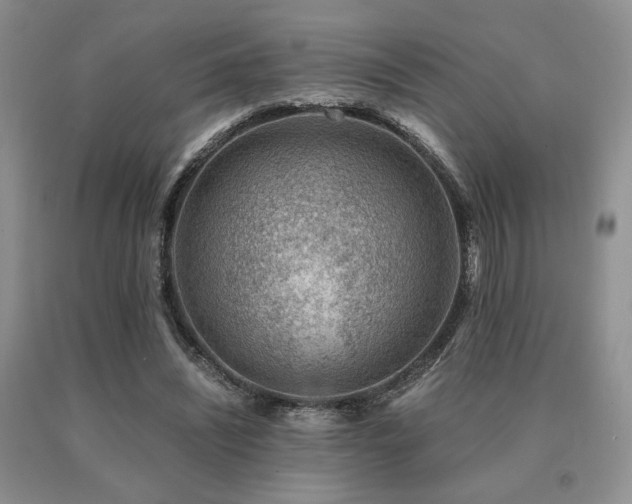 X0000091060444200708061245