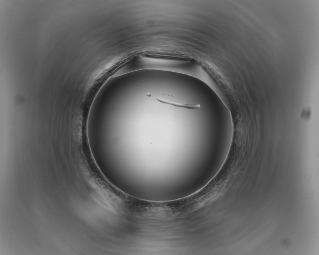 X0000091060446200708061245