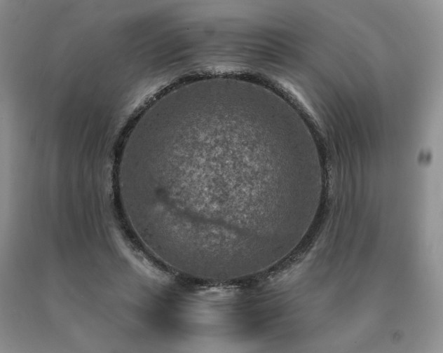 X0000091060447200708061245