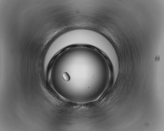 X0000091060448200708061245