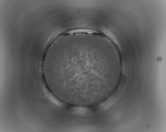 X0000091060449200708061245