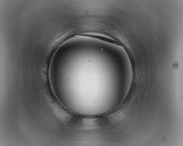 X0000091060450200708061245