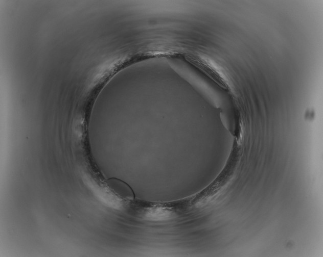 X0000091060451200708061245
