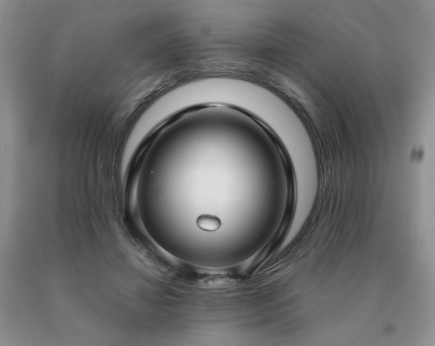 X0000091060452200708061245