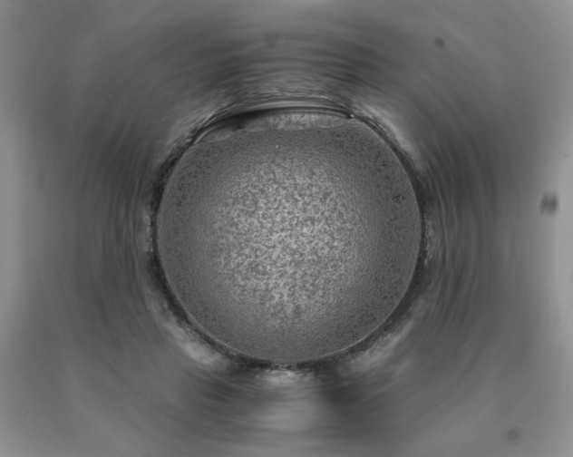 X0000091060453200708061245