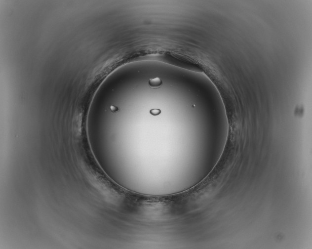X0000091060454200708061245