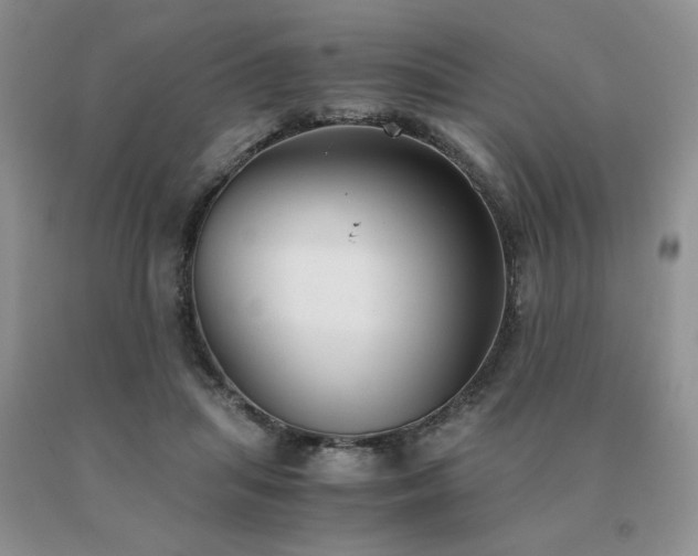 X0000091060455200708061245