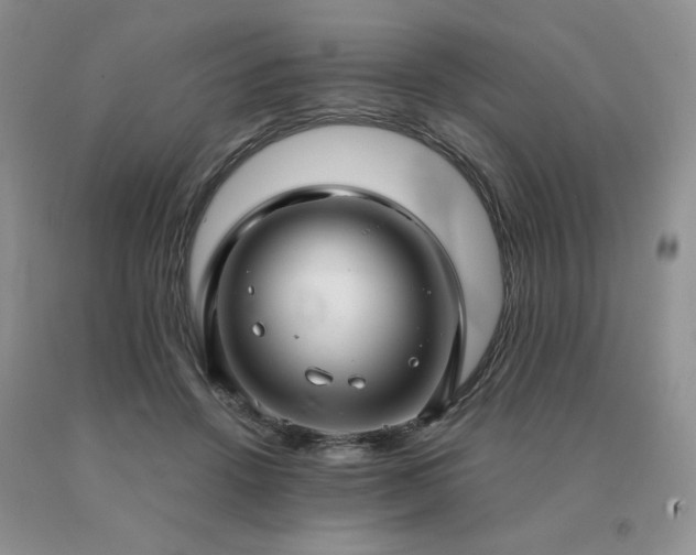 X0000091060456200708061245