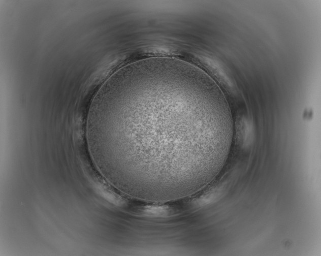 X0000091060457200708061245