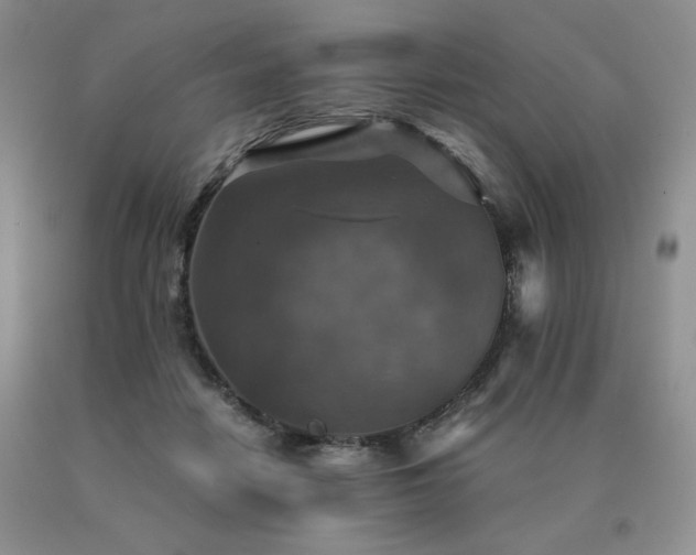 X0000091060458200708061245
